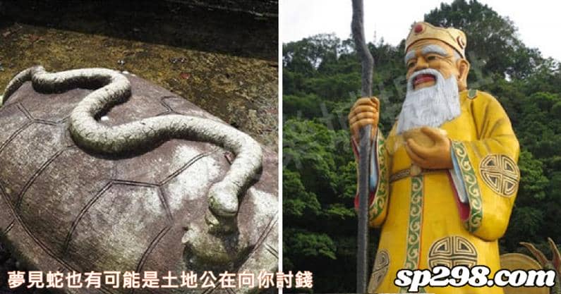 夢見蛇也有可能是土地公在向你討錢