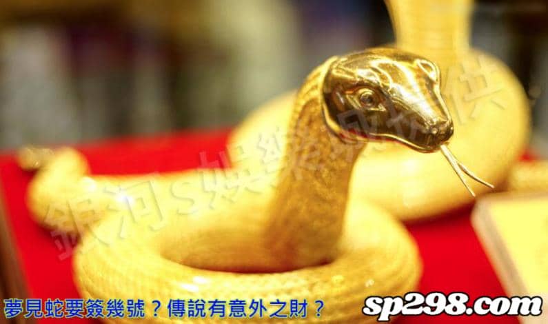夢見蛇要簽幾號?傳說有意外之財?