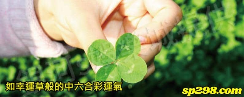 如幸運草般的中六合彩運氣
