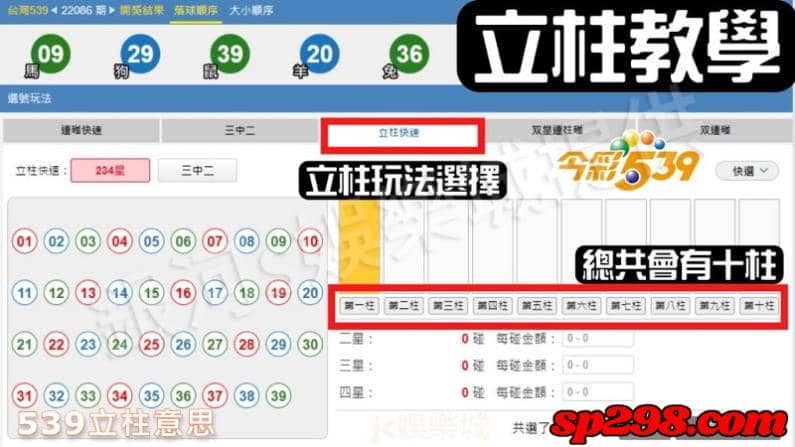 539立柱意思是什麼?