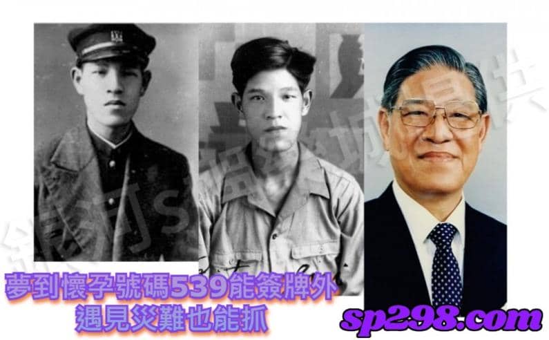 夢到懷孕號碼539能簽牌外，遇見災難也能抓？