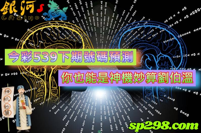 今彩539下期號碼預測