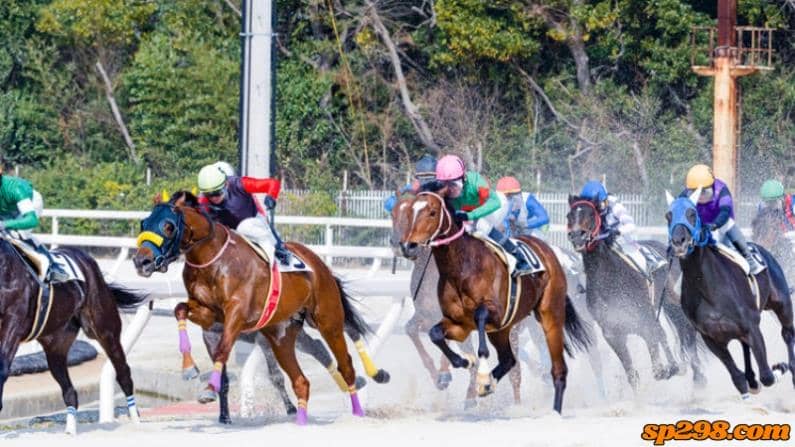 日本中央競馬會