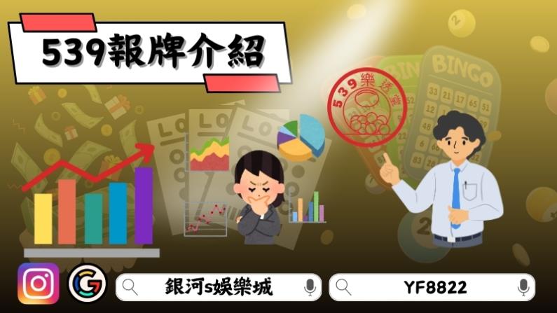 539報牌介紹