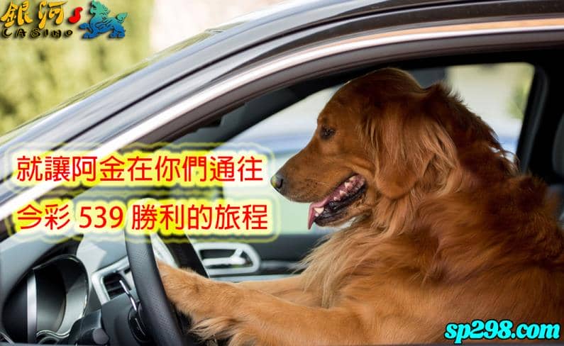 539研究院